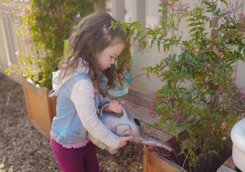 Nature-based playground at Little Seeds Children’s Center
